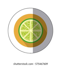 lime fruit icon image, vector illustration design