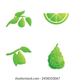Iconos de fruta de lima conjunto de Vector de dibujos animados. Cítricos ecológicos frescos. Nutrición saludable