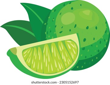 Lime Fruit, Lime Illustration, Lime Vector Art