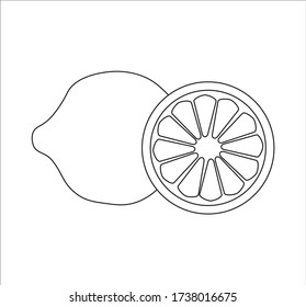 lime fruit. illustration for web and mobile design.