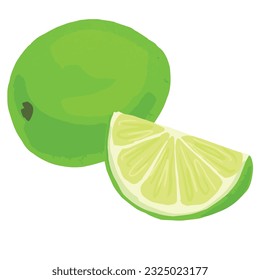 Lime fruit illustration whole and half