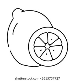 lime fruit line icon vector. lime fruit sign. isolated contour symbol black illustration