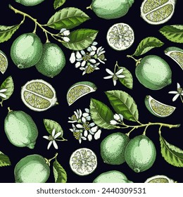 Lime fruit seamless pattern. Citrus fruit, branches, flowers sketches. Botanical background. Exotic plants texture. Hand-drawn vector illustration. NOT AI generated