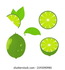 Lime fruit set. Flat style. Vector illustration 