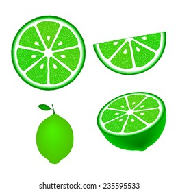 Lime fruit set, isolated on white background, vector illustration.