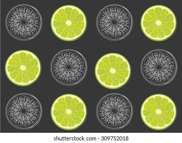 Lime fruit slices background eps10 vector illustration