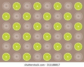 Lime fruit slices background eps10 vector illustration