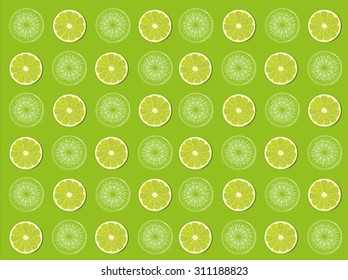 Lime fruit slices background eps10 vector illustration