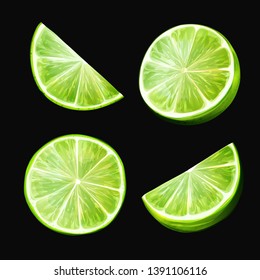 Lime fruit slices isolated on black. Four elements. Hand drawn, watercolor. Vector- stock.