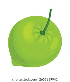 Fruta de limão com caule, exibindo sua cor verde vibrante, pele texturizada e frescura geral, perfeita para várias aplicações culinárias e visuais