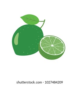 Lime Fruit Vector illustration