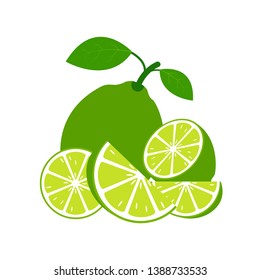 Lime fruits with green leaves. Lime fruits on white background. Tropical fruits. vegetarian food. Vector illustration. - Vector