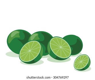 Lime fruits isolated. Vector