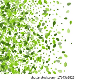 Lime Green Forest Vector Design. Blur Foliage Pattern. Forest Leaves Realistic Border. Leaf Flying Banner.