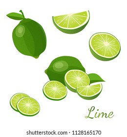 Lime with green leaves isolated on white background. Raw vegetarian food. Lime whole, half and slice vector illustration. Green citrus set icons 