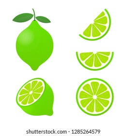 Lime with green leaves, slice citrus isolated on white background. Vector stock illustration.