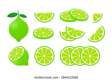 Lime with green leaves, slice citrus isolated on white background. Vector illustration.	