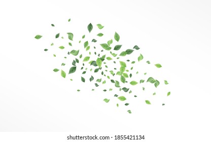 Lime Greenery Abstract Vector White Background Poster. Forest Leaf Branch. Green Foliage Ecology Banner. Leaves Falling Concept.