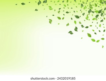 Lime Greenery Swirl Vector Green Background Concept. Motion Foliage Banner. Grassy Leaves Wind Border. Leaf Fresh Plant.