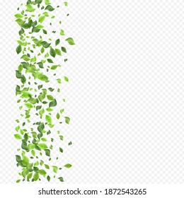 Lime Greenery Tree Vector Transparent Background Brochure. Wind Foliage Design. Swamp Leaves Tea Wallpaper. Leaf Nature Branch.
