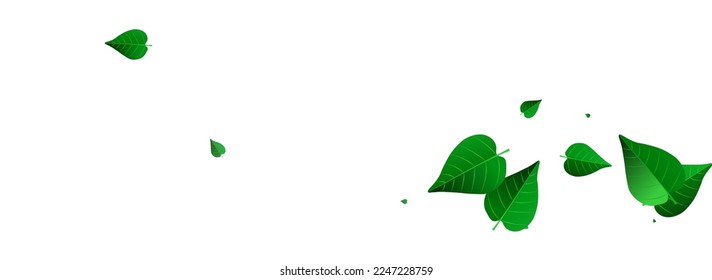 Lime Greens Abstract Vector Panoramic White Background Backdrop. Swirl Leaves Design. Forest Leaf Nature Pattern. Foliage Tea Plant.