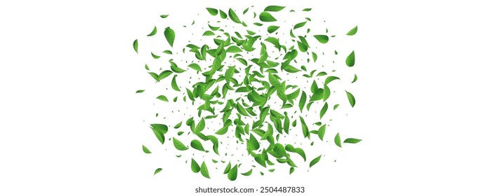 Lime Greens Abstract Vector Panoramic White Background Wallpaper. Swirl Leaves Design. Green Foliage Motion Illustration. Leaf Tree Banner.