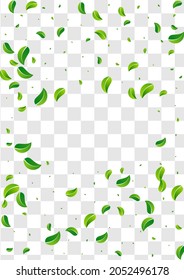 Lime Verdes Abstract Vector Planta De Fondo Transparente. Patrón De Hojas De Swirl. Plantilla transparente de hoja de bosque. Afiche de movimiento de follaje.