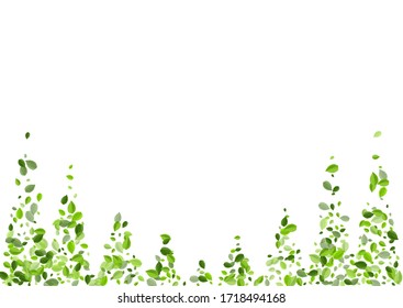 Lime Greens Blur Vector Poster. Organic Leaf Pattern. Grassy Foliage Falling Branch. Leaves Flying Background.