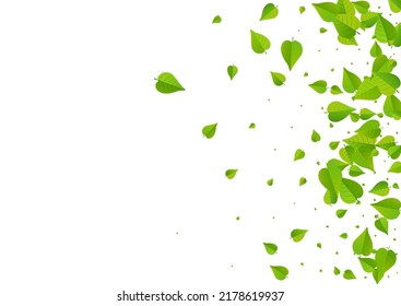 Lime Greens Blur Vector White Background Wallpaper. Nature Foliage Plant. Green Leaf Spring Illustration. Leaves Wind Brochure.