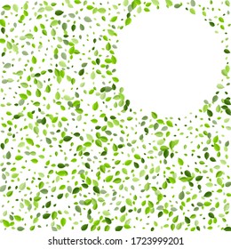 Lime Greens Ecology Vector Plant. Nature Leaves Pattern. Swamp Leaf Tea Backdrop. Foliage Fly Border.