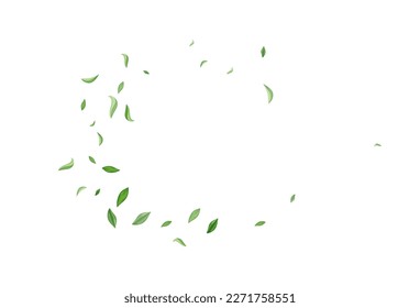 Lime Greens Falling Vector White Background Design. Motion Foliage Template. Swamp Leaf Forest Plant. Leaves Abstract Illustration.