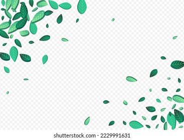 Lime Greens Fly Vector Transparent Background Brochure. Falling Leaf Illustration. Green Foliage Herbal Branch. Leaves Flying Template.
