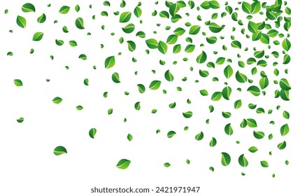 Lime Greens Fly Vector White Background. Tree Foliage Branch. Swamp Leaf Forest Design. Leaves Organic Concept.