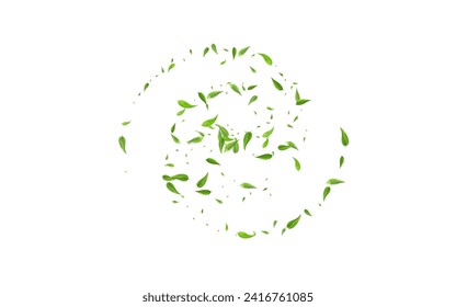 Afiche De Fondo Blanco Del Vector Volador Lime Verdes. Papel tapiz de follaje herbal. Borde transparente de hoja de bosque. Deja el folleto del té.