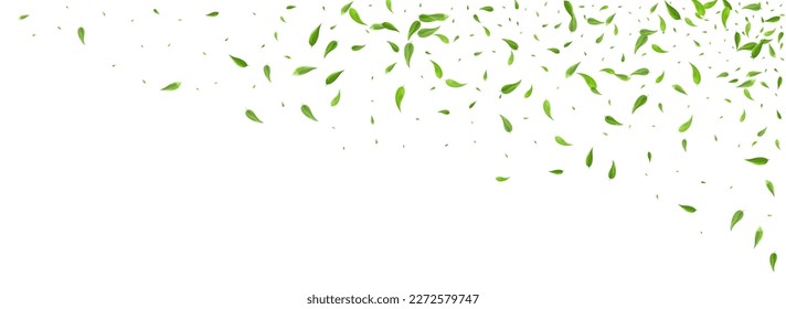 Lime Greens Forest Vector Panoramic White Background Design. Realistic Foliage Branch. Forest Leaf Nature Illustration. Leaves Blur Banner.