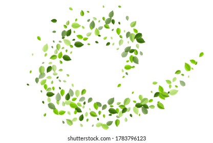 Lime Greens Fresh Vector Brochure. Organic Leaves Pattern. Green Foliage Tea Concept. Leaf Nature Design.