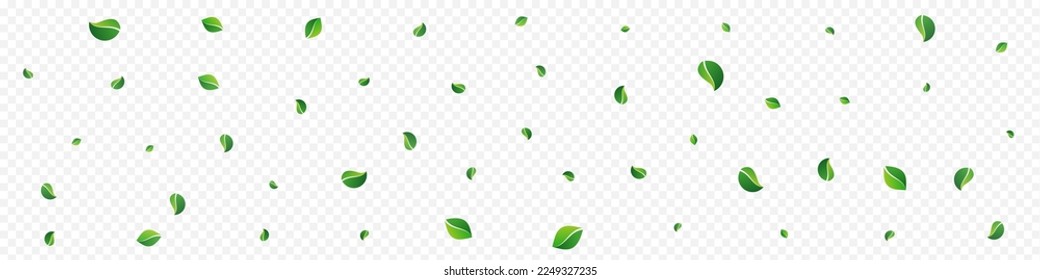 Lime Greens Fresh Vector Panoramic Transparent Background. Fly Leaves Branch. Swamp Foliage Transparent Plant. Leaf Motion Brochure.
