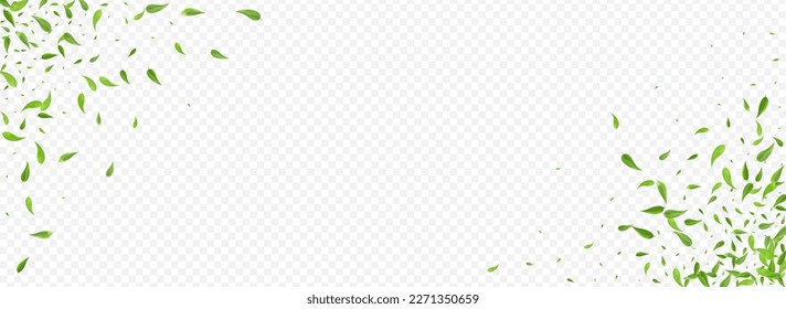 Lime Greens Fresh Vector Panoramic Transparent Background Backdrop. Organic Leaves Brochure. Forest Leaf Swirl Banner. Foliage Motion Design.
