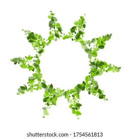 Lime Greens Fresh Vector Plant. Organic Leaf Wallpaper. Olive Foliage Swirl Pattern. Leaves Nature Banner.