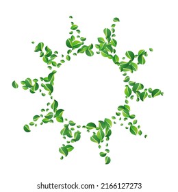 Lime Greens Fresh Vector White Background. Wind Leaves Backdrop. Grassy Foliage Swirl Branch. Leaf Fly Wallpaper.