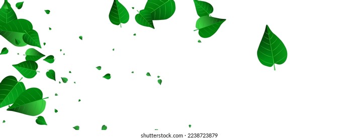 Lime Greens Herbal Vector Panoramic White Background Branch. Organic Foliage Backdrop. Swamp Leaf Transparent Banner. Leaves Swirl Wallpaper.