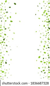 Lime Greens Herbal Vector Poster. Fresh Foliage Concept. Swamp Leaf Wind Background. Leaves Motion Branch.