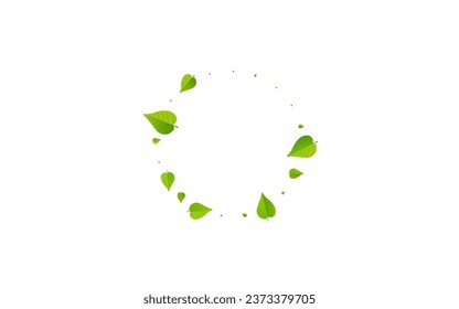 Lime Greens Herbal Vector White Background Brochure. Organic Leaves Wallpaper. Grassy Leaf Spring Concept. Foliage Motion Backdrop.