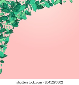 Lime Greens Motion Vector Pink Background Branch. Fly Leaf Brochure. Swamp Foliage Fresh Concept. Leaves Blur Poster.