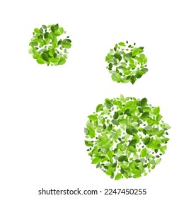 Lime Greens Motion Vector Plant. Tea Foliage Border. Grassy Leaves Forest Pattern. Leaf Herbal Brochure.