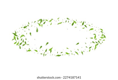 Lime Greens Motion Vector White Background Design. Tree Leaves Poster. Mint Foliage Wind Pattern. Leaf Nature Concept.