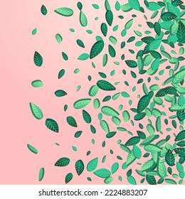 Lime Greens Nature Vector Pink Background Wallpaper. Flying Leaf Pattern. Green Foliage Motion Design. Leaves Transparent Branch.