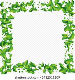 Lime Greens Nature Vector Transparent Background. Blur Leaves Brochure. Mint Foliage Tea Wallpaper. Leaf Transparent Poster.