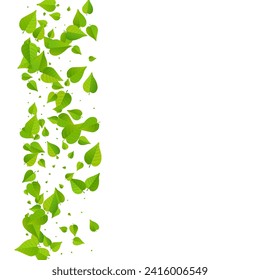 Lime Greens Nature Vector White Background Illustration. Tree Leaf Banner. Olive Leaves Wind Brochure. Foliage Realistic Backdrop.