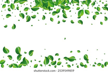 Lime Greens Organic Vector White Background. Fly Leaves Backdrop. Mint Leaf Blur Banner. Foliage Spring Brochure.